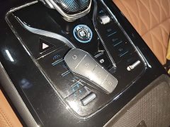 BYD Yuan Plus DM-i Champion Edition 112KM Honor Trim - ფოტო 8