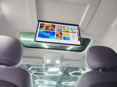 Leapmotor C16 Pure Electric 580 Privilege Edition - photo 17