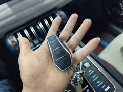 BYD Yuan Plus 510KM Respect and Honor Edition - ფოტო 8
