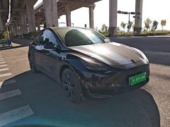 Tesla Model Y Rear-Wheel Drive - photo 3