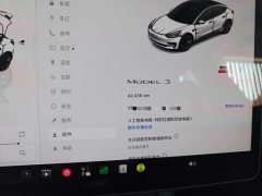 Tesla Model 3 Rear-Wheel Drive - ფოტო 11
