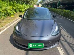 Tesla Model 3 Rear-Wheel Drive - ფოტო 2