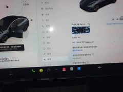 Tesla Model 3 High Performance All-Wheel Drive - ფოტო 11