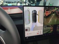 Tesla Model 3 High Performance All-Wheel Drive - ფოტო 13