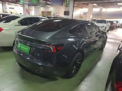 Tesla Model 3 High Performance All-Wheel Drive - ფოტო 6