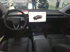 Tesla Model 3 High Performance All-Wheel Drive - ფოტო 9