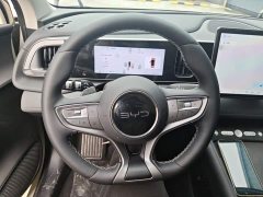 BYD Sealion 05 EV 520KM Smart Navigation Edition - photo 10