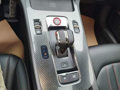 Trumpchi Leopard 270T DCT J16 - ფოტო 13