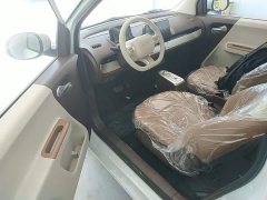 Changan Lumin Treasure Edition 205km Cool Love White CATL - ფოტო 15