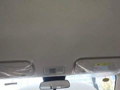 Changan Lumin Treasure Edition 205km Cool Love White CATL - ფოტო 17