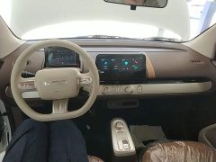 Changan Lumin Treasure Edition 205km Cool Love White CATL - ფოტო 9