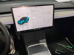 Tesla Model Y Rear-Wheel Drive - ფოტო 12