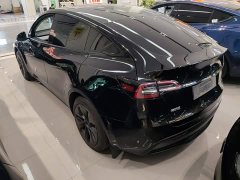 Tesla Model Y Rear-Wheel Drive - ფოტო 4