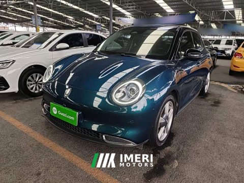 2021 ORA Good Cat 400km Standard Range Venus Edition LFP Battery - ავტომობილი ჩინეთიდან