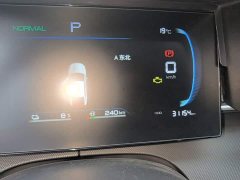 BYD Destroyer 05 Glory Edition DM-i 55KM Luxury - ფოტო 11