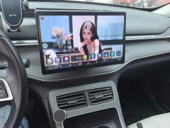 BYD Destroyer 05 Glory Edition DM-i 55KM Luxury - ფოტო 12
