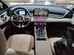 BYD Yuan Plus Glory Edition 430KM Leading - ფოტო 9