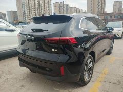 Great Wall Mach-E DHT-PHEV 1.5L Master Edition - ფოტო 6
