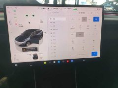 Tesla Model Y Long Range All-Wheel Drive - ფოტო 12