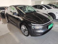 Tesla Model Y Long Range All-Wheel Drive - ფოტო 3