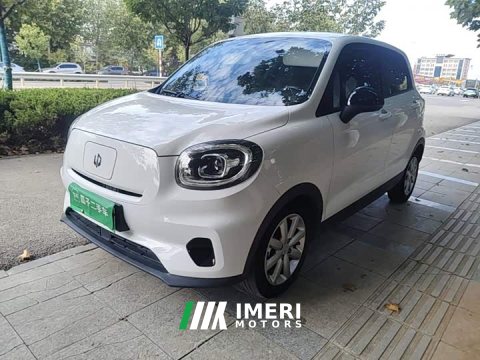 2022 Leapmotor Leapo T03 Haoyu Edition - car from China