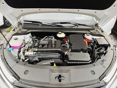 BYD Qin L DM-i 128KM Leading Edition - ფოტო 19