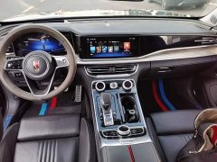 FAW Red Flag H9 2.0T Smart Connected Flagship Comfort Edition - ფოტო 9