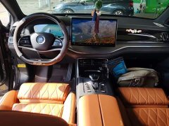 BYD Yuan Plus DM-i Champion Edition 112KM Deluxe - ფოტო 9