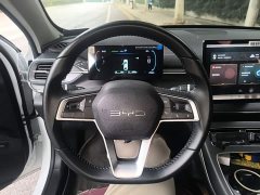 BYD Destroyer 05 Glory Edition DM-i 55KM Luxury - ფოტო 10