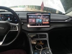 BYD Destroyer 05 Glory Edition DM-i 55KM Luxury - ფოტო 12