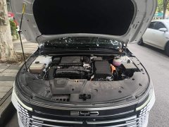 BYD Destroyer 05 Glory Edition DM-i 55KM Luxury - ფოტო 19