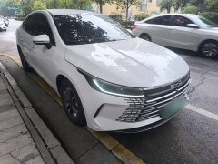 BYD Destroyer 05 Glory Edition DM-i 55KM Luxury - ფოტო 3