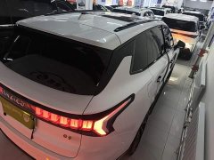 Lynk & Co 09 EM-P 2.0T PHEV Halo Seven-Seater - photo 6