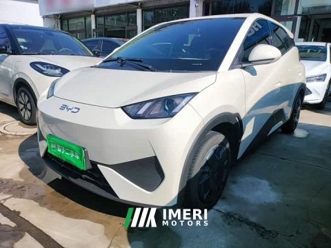 2025 BYD Seagull Smart Drive 305km Vitality Edition - ავტომობილი ჩინეთიდან