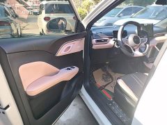 BYD Seagull Smart Drive 305km Vitality Edition - ფოტო 15