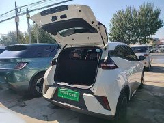 BYD Seagull Smart Drive 305km Vitality Edition - ფოტო 18