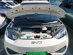 BYD Seagull Smart Drive 305km Vitality Edition - ფოტო 19