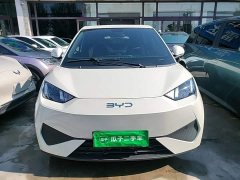 BYD Seagull Smart Drive 305km Vitality Edition - ფოტო 2