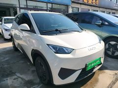 BYD Seagull Smart Drive 305km Vitality Edition - ფოტო 3