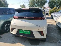 BYD Seagull Smart Drive 305km Vitality Edition - ფოტო 5