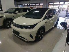 BYD Dolphin Smart Drive 410km Fashion Edition - photo 1