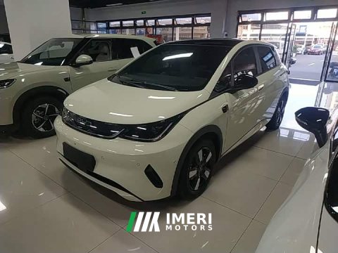2025 BYD Dolphin Smart Drive 410km Fashion Edition - ავტომობილი ჩინეთიდან