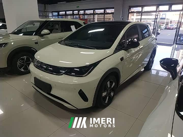 BYD Dolphin Smart Drive 410km Fashion Edition
