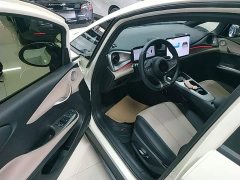 BYD Dolphin Smart Drive 410km Fashion Edition - photo 15