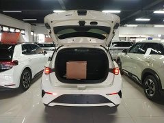BYD Dolphin Smart Drive 410km Fashion Edition - photo 18
