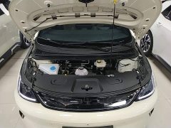 BYD Dolphin Smart Drive 410km Fashion Edition - photo 19