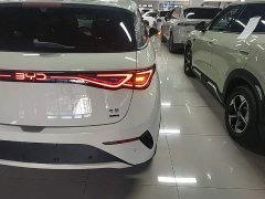BYD Dolphin Smart Drive 410km Fashion Edition - photo 7