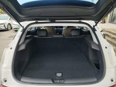 Buick Weilan 6 430km Travel Edition - ფოტო 18