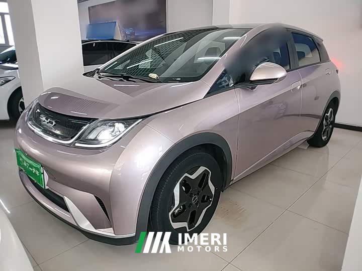 BYD Dolphin 405km Fashion Edition - ავტომობილი ჩინეთიდან