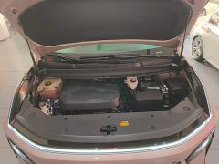 Maxus G70 2.0T Auto Luxury Edition 7-seater - ფოტო 19